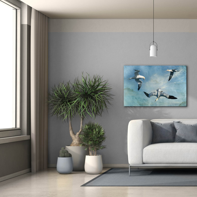 «Gannets Trio» par Carlos Casamayor, art mural sur toile, H 26 po x l 40 po x P 1,5 po