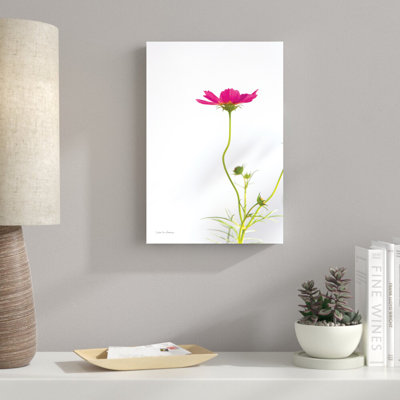 Magenta Cosmos II - imprimé