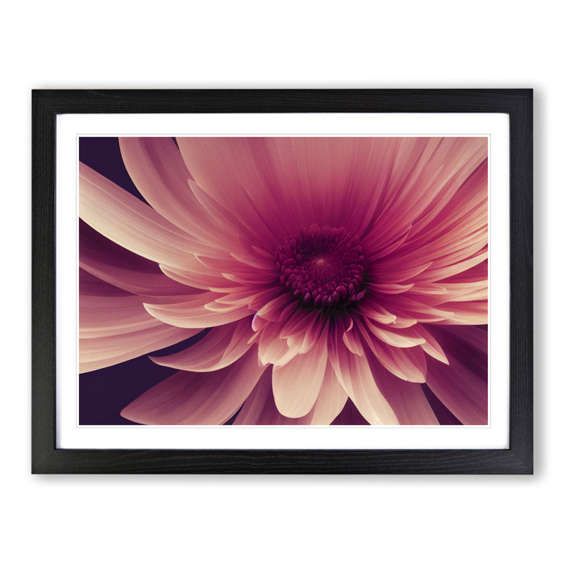 Cute Chrysanthemum Flower Vol.2 - Framed Print, 25cm H x 34cm W x 2cm D, Black
