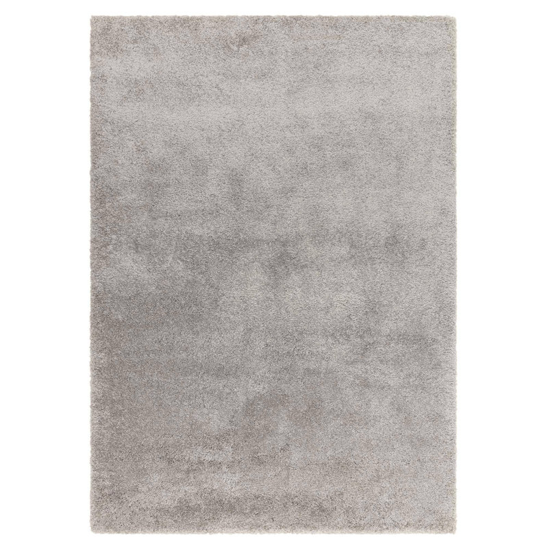 Taiwo Shaggy Silver Area Rug, Rectangle 80 x 150 cm