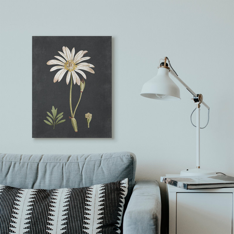 « botanique drawing white on black design », impression, Toile tendue, H 30 po x l 24 po