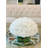 Hydrangea Arrangement