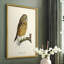 French Owls II, reproduction encadrée - bois massif-307534256