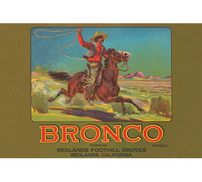 Bronco Brand Crate Label Vintage Advertisement