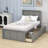 Dominyc Twin Platform Bed with Two Drawers-1976746663