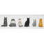 «Six Cats Lined Up Back View - Gray Feline», art sur toile