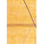 Tapis doré 8 x 11 Parra