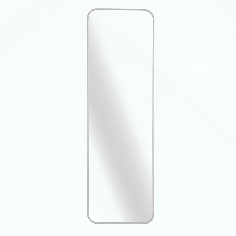 Accent Door Mirror., Silver