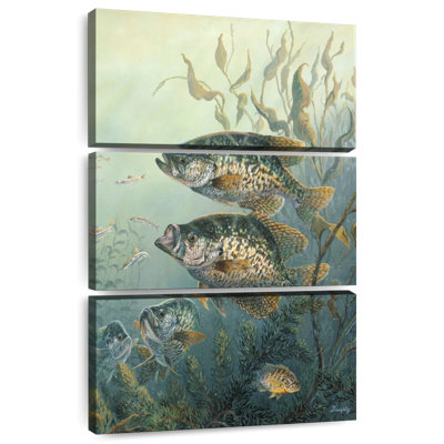 Brampt Black Crappies