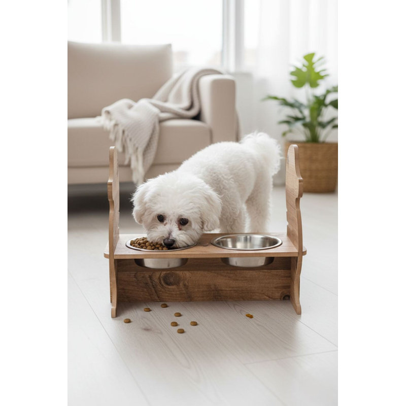 Bol pour nourriture pour animaux