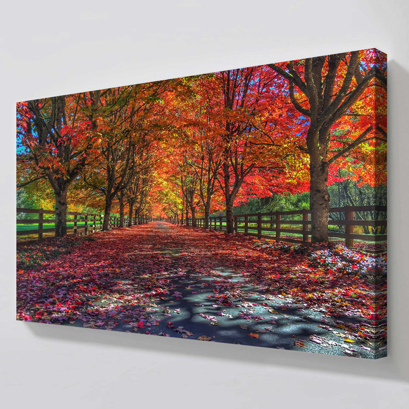 «Painted Forest Path», reproduction de photo sur toile tendue, H 36 po x l 60 po x p 1,5 po