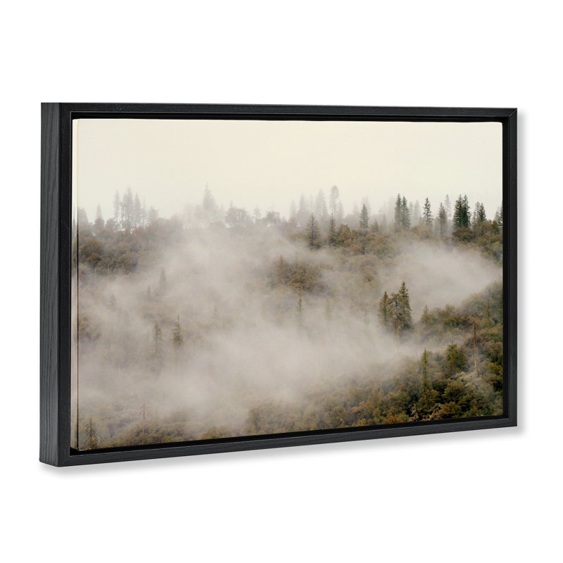 Cadre flottant matin brouillard sur arbres, design par Gemma Bardot, Cadre flottant noir de jais, H 21 po x l 31 po