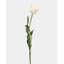 Yellow Orange Tulip 22.5"-875658672