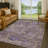 Machine Washable Indoor/Outdoor Chantille ACN2429 Traditional Rug-1890141166-1890141165