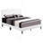 Queen Bed - All In One Box