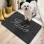Paillasson pour porte d'entrée Hello Welcome Mat