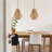 Ambre 1 - Light Novelty Pendant-98891900