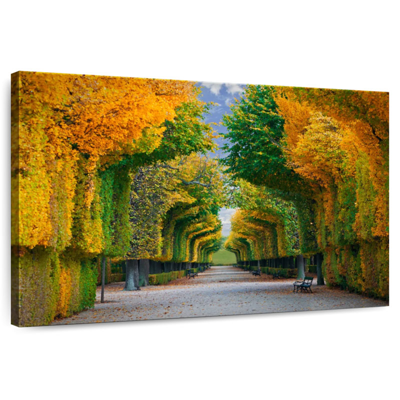 Alvord Autumn Tree Tunnel, 8" H x 12" W