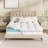 4" Memory Foam Mattress Topper with 8-21 Inch Deep Pocket-100314940