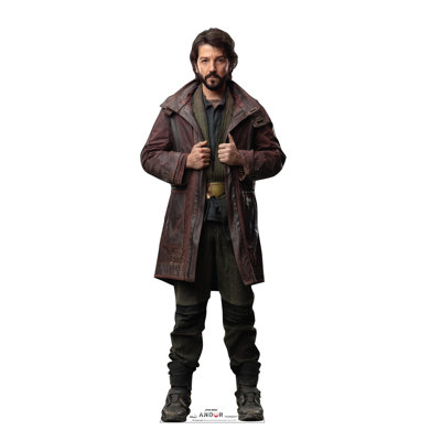 Cassian Andor