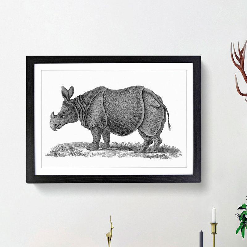 Rhinoceros in Black & White by George Shaw - Picture Frame Drawing Print, Black Framed, 27cm H x 36cm W x 2cm D