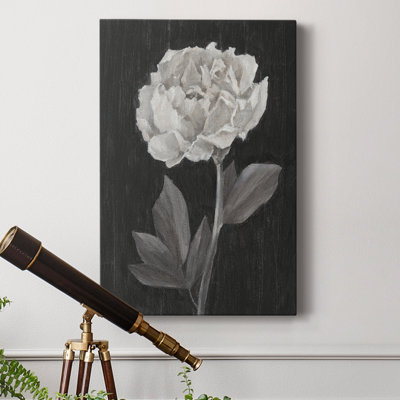" Black And White Flowers IV "