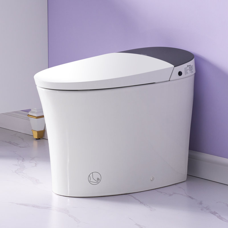 Toilette intelligente avec réservoir d'eau intégré, chasse d'eau automatique, siège chauffant avec fonction de lavage multiple et veilleuse (télécommande incluse)
