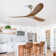 Outdoor Ceiling Fan Without Light 3 Abs Blade With Smart App Control