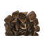 Topsy Turvy Succulent Wall Art, Imperial Bronze