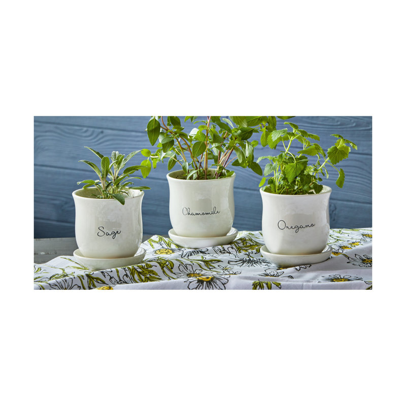 Sage Planter W/ Saucer Set