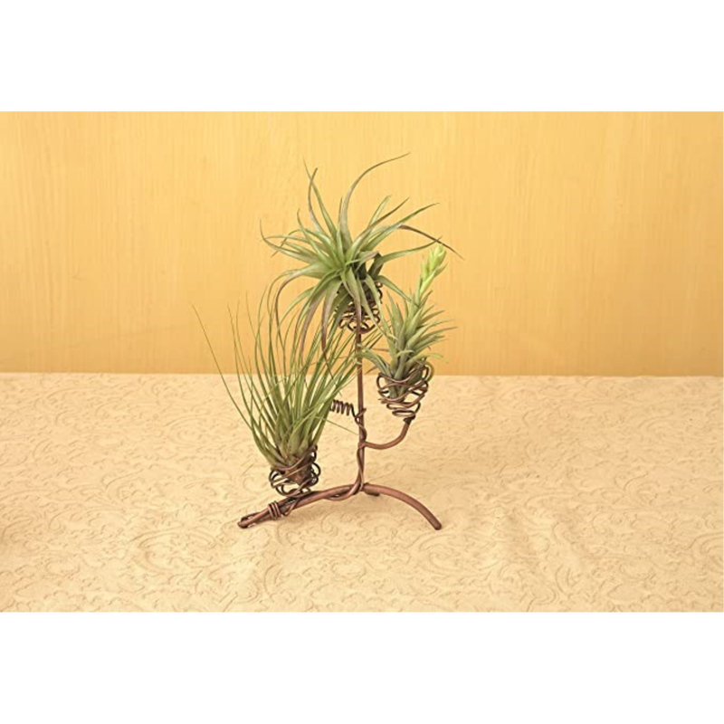 Handcrafted Triple Air Plant Holder with Flamed Finish