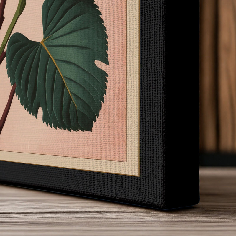Study in Pink Botanical - Wrapped Canvas, 18x12 - 45.7 x 30.5 cm, Black Border