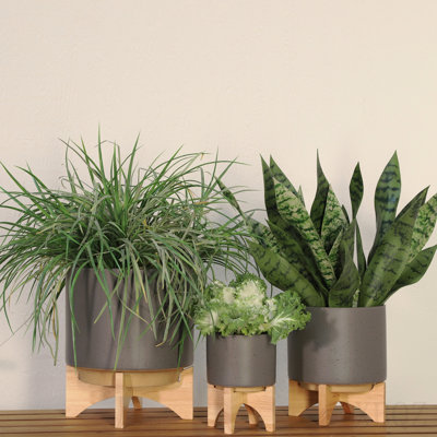 8" Planter W/ Wood Stand, Matte Gray