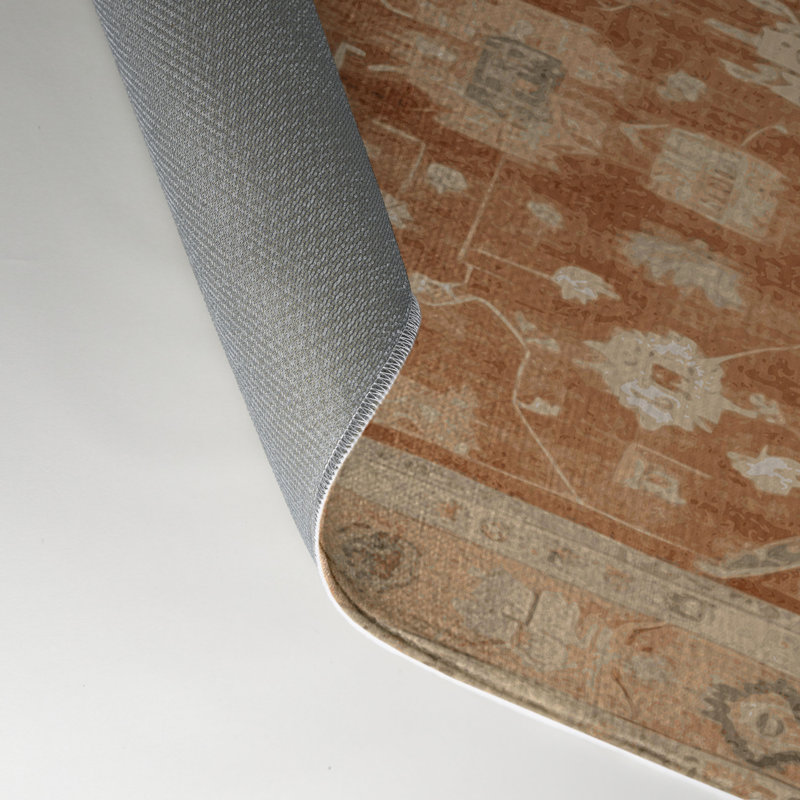 Tapis intérieur et extérieur brun Overdyed