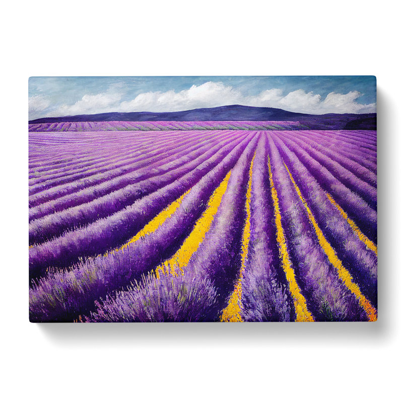 Phenomenal Lavender Flower Field - Wrapped Canvas, 35cm H x 50cm W x 3cm D