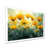 Cadre simple blanc