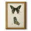 Butterfly Profile IV Butterfly Profile IV - Peinture sur toile encadrée-1315946580