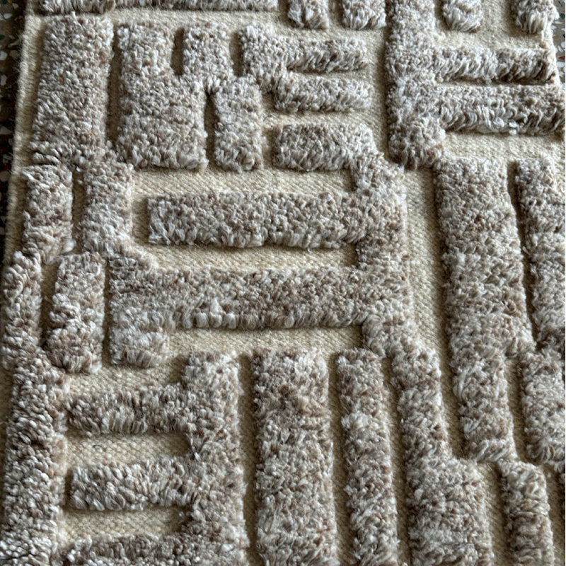 Hand Knotted Wool Area Rug, Rectangle 9' x 12'