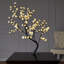 Bonsaïs illuminés et branches-22104824