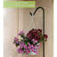 Crochet de suspension-98067261-98067262