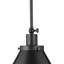 Luminaire suspendu conique à 1 lumière Haydenville-909490915-909490942