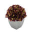 Arrangement d'hortensias en prune-1553681580-1488260805