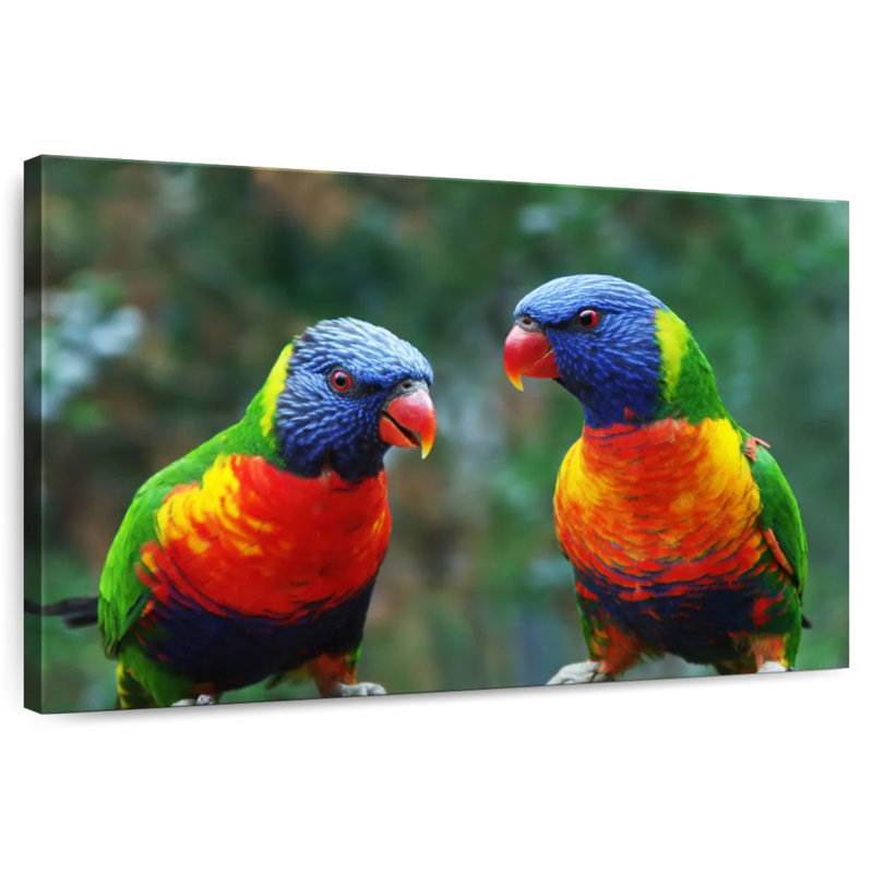 Brampt Lorikeet Buddies, 30" H x 45" W