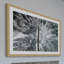Karolis Janulis - Single Picture Frame Print-1678053475