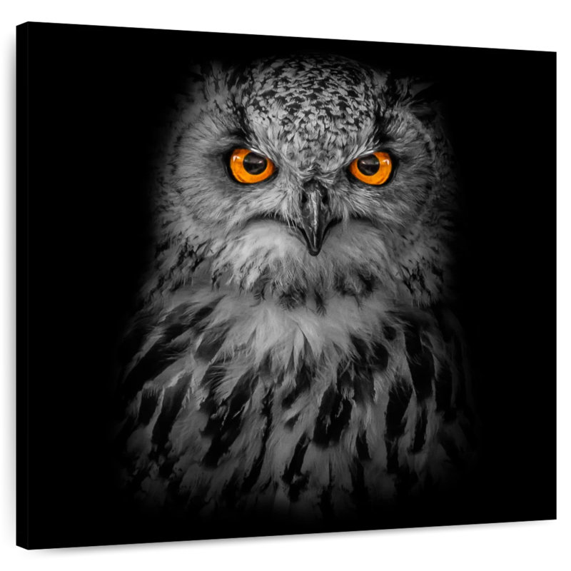Hibou Brampt intense, H 10 po x l 10 po