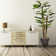 Panama 58'' Artificial Scindapsus Aureus Tree in Planter