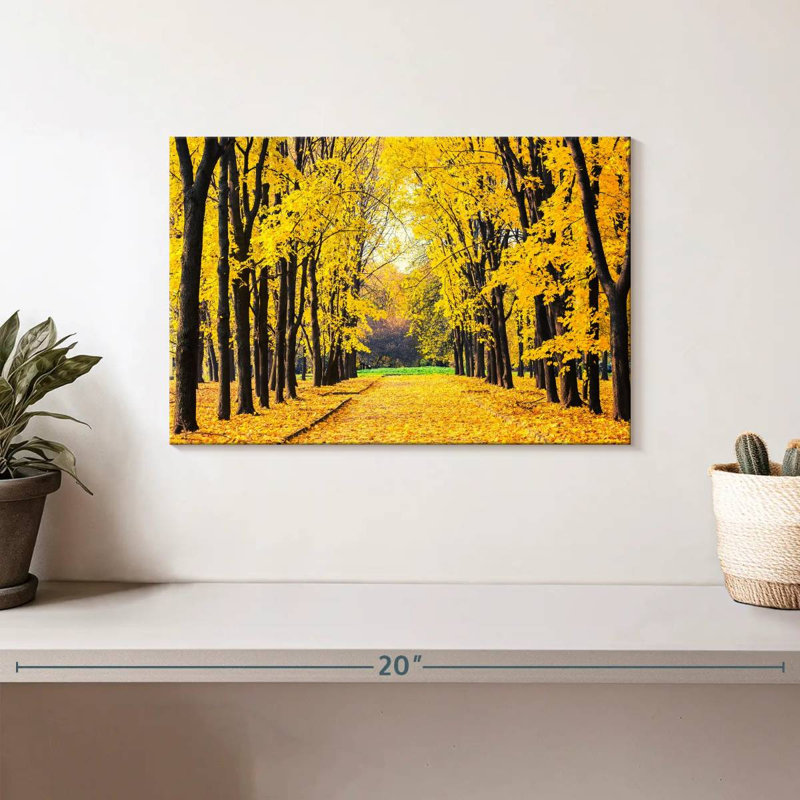 Feuillage du parc d'automne Sireci, H 8 po x l 12 po