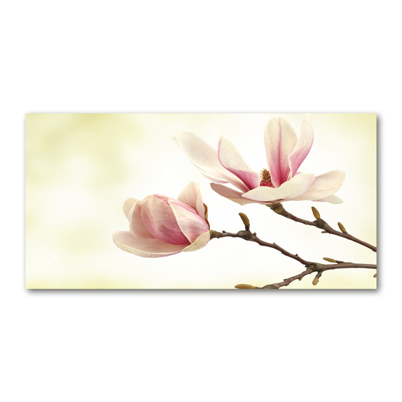 Magnolia - Wrapped Canvas Print