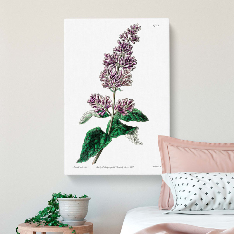 Hungarian Lilac Flowers - Wrapped Canvas Painting, 50cm H x 35cm W x 3cm D