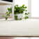 Wadlington Oriental Ivory/Beige Area Rug